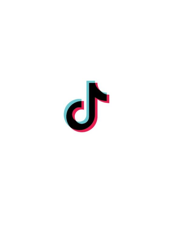 TikTok Influencer: Make 6-Figures as a Creator on Tik Tok