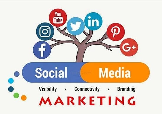 Social Media Marketing Pro: Go Beyond Basics
