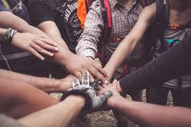 Amplify Impact: Digital Outreach Strategies for Non-Profits